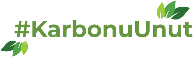 Karbonu Unut